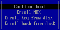 Secure Boot menu: Continue boot / Enroll MOK / Enroll key from disk / Enroll hash from disk|200x102, 100%